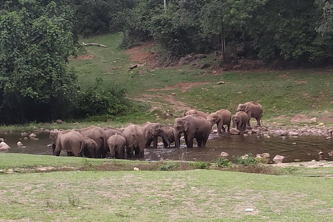 1 Day Activity Adventure Trekking Kerala - Key points worth knowing