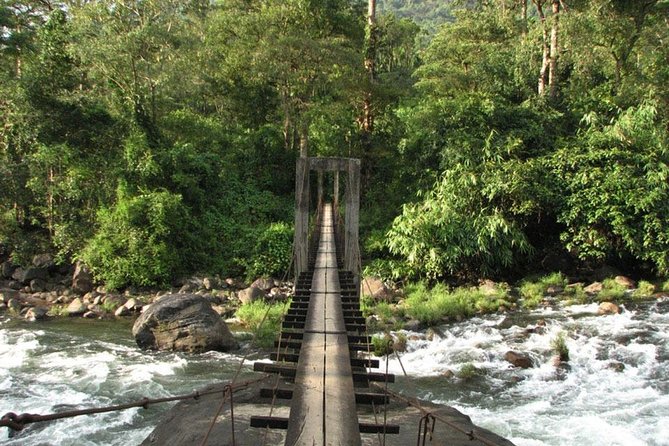 1 Day Activity Adventure Trekking Kerala - Elephant Gathering Zone, Tribals Bridge, and Anakulam River Views