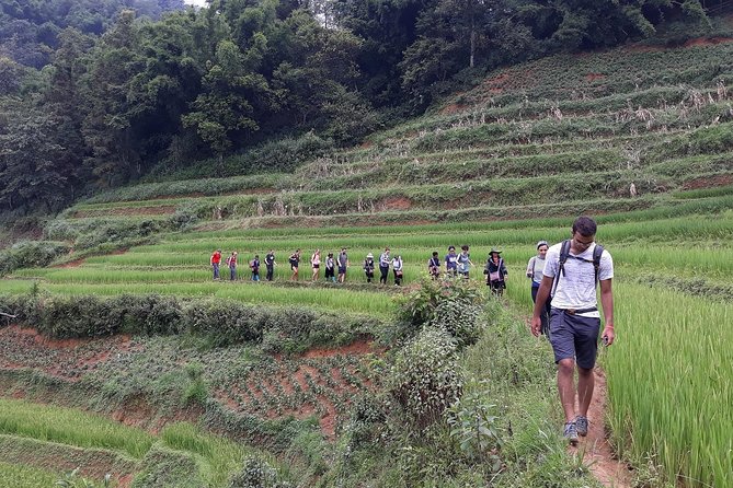 1-day Authentik trek & Panorama valley views - Lunch stop: local food and a standout fried spring roll moment
