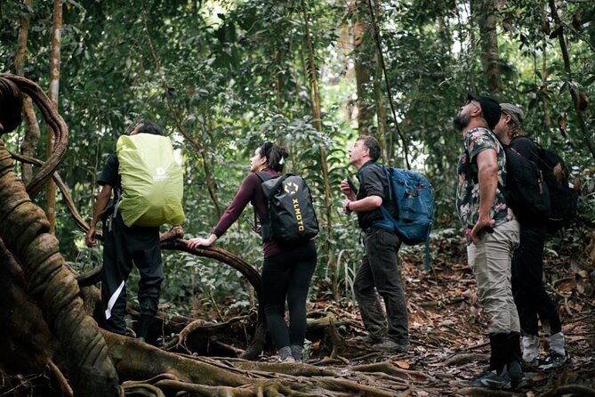 1 Day Ethical Jungle Trekking - The 9:00 am start and the real rhythm of a 5–6 hour hike