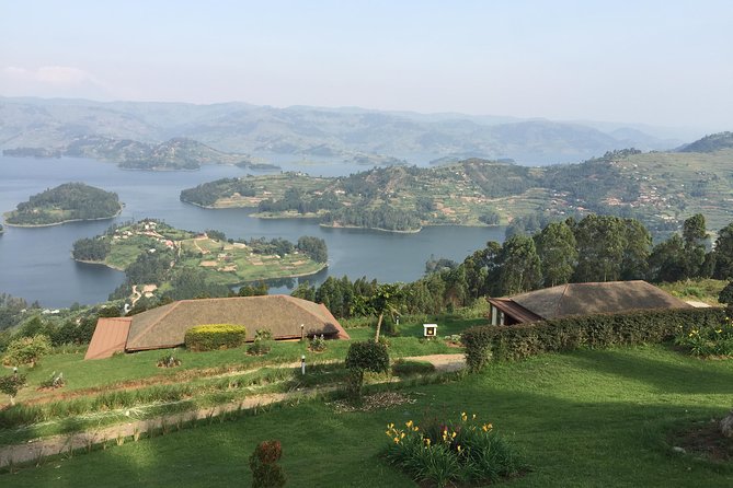 1 Day Gorilla Trekking Mgahinga Gorilla NP & Lake Bunyonyi - One Hour With Gorillas: Watching Behavior, Not Just Getting Photos
