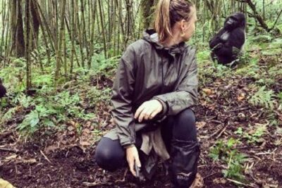 1 Day Gorilla Trekking Rwanda - Volcanoes National Park trekking: what the hours usually feel like