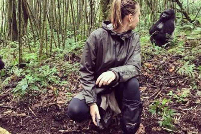 1 Day Gorilla Trekking Rwanda - Volcanoes National Park trekking: what the hours usually feel like