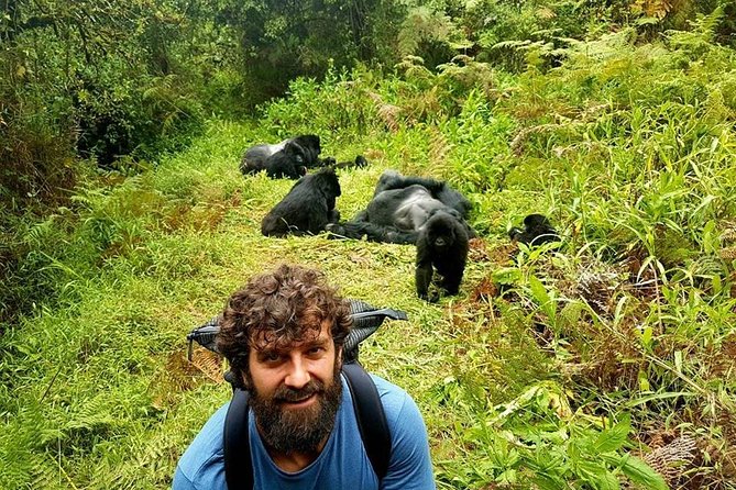 1 Day Gorilla Trekking Uganda - Mgahinga or Bwindi: How Permit Availability Shapes Your Trek