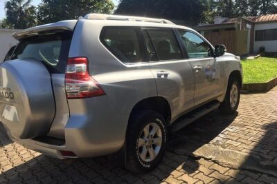 1 Day Gorilla trekking volcanoes national park - Private 4x4 and door-to-door Kigali logistics