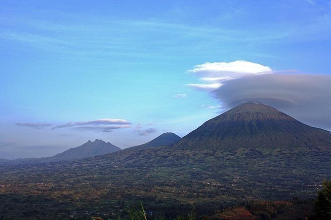 1 Day Gorilla trekking volcanoes national park - Price and logistics: is $2,699 per person worth it?