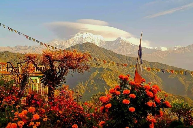 1-Day Private Dhampus Trekking Tour - The route: Phedi uphill, Dhampus lunch, Kande back down