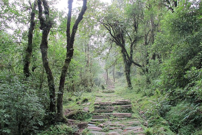 1-Day Private Dhampus Trekking Tour - Guides like Roman, Kumar, Dipu, and Siba add real value