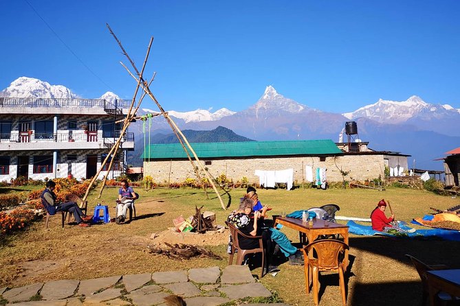 1-Day Private Dhampus Trekking Tour - Price and logistics: $67 is about stress-free convenience