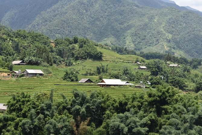 1-Day Private Trekking in Sapa through Terraces Rice Fields - Why this Sapa trek feels more real than a drive-by tour