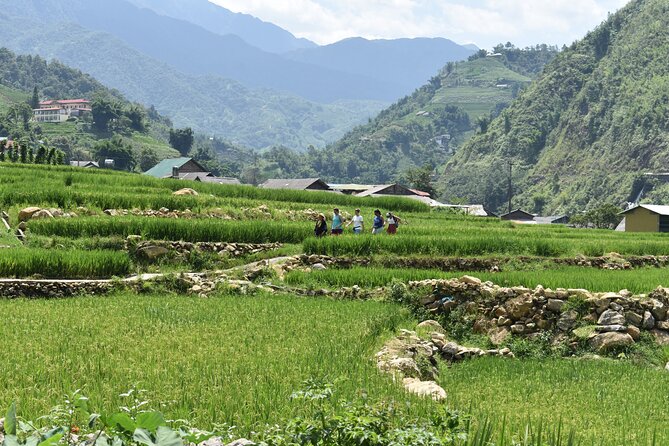 1-Day Private Trekking in Sapa through Terraces Rice Fields - Stop 3: Ta Van village and the H’Mong, Red Dao, and Giay mix