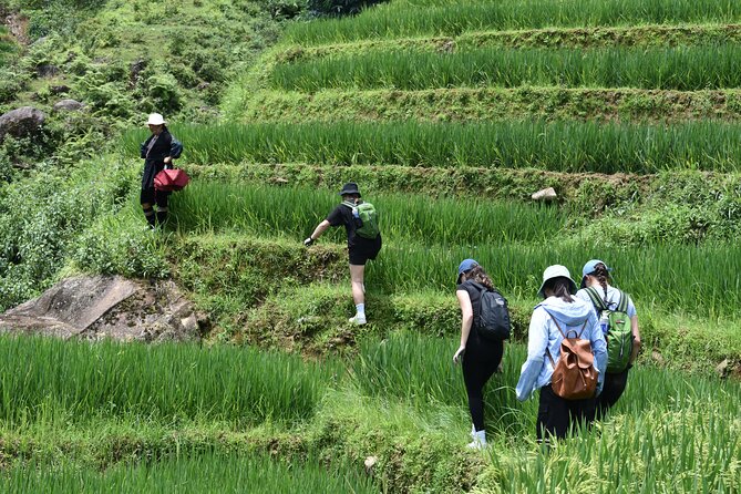 1-Day Private Trekking in Sapa through Terraces Rice Fields - Who this trek fits best (and who should be cautious)