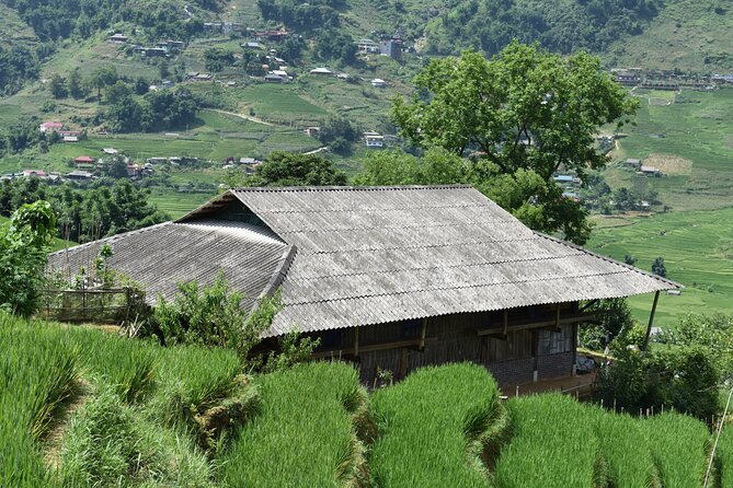 1-Day Private Trekking in Sapa through Terraces Rice Fields - The guide factor: patient pacing and local knowledge