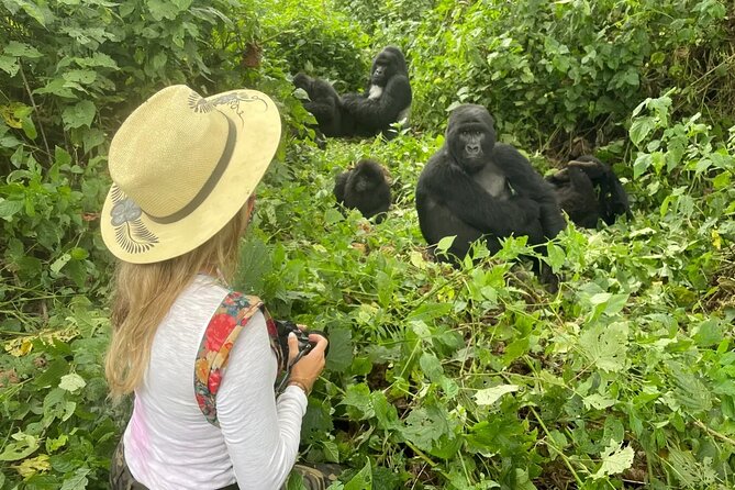 1 Day Rwanda Gorilla Trekking Tour In The Volcanoes National Park - Price and value: what $360 buys you and what you must add