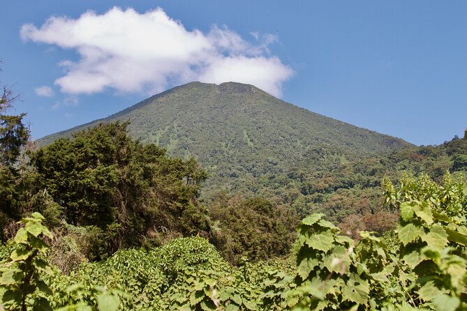 1 Day Rwanda Gorilla Trekking Tour - Kinigi Village briefing: where the rules actually get explained