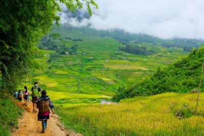 1 Day Sapa Authentic Trekking ( off beaten track ) - Ta Phin Village and the Suoi Ho start: pine forest plus Hmong village life