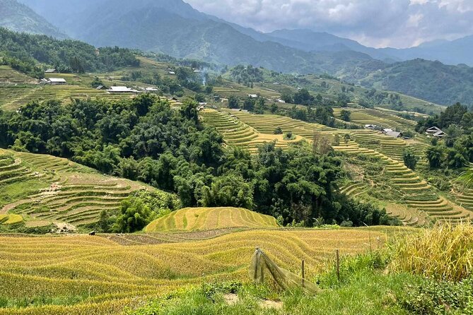 1 Day Sapa Authentic Trekking ( off beaten track ) - Price and value at $39: what’s included, what it replaces