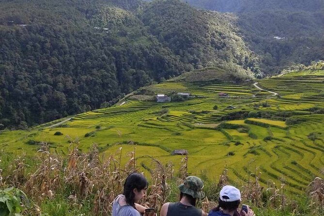 1 Day Sapa Authentic Trekking ( off beaten track ) - Trail pace, difficulty, and who this hike suits best