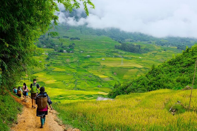 1 Day Sapa Authentic Trekking ( off beaten track ) - Ta Phin Village and the Suoi Ho start: pine forest plus Hmong village life