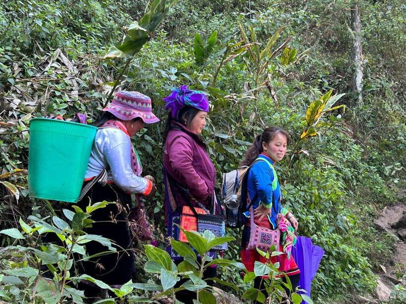 1 Day Sapa Trek&Home-cooked Lunch HmongSisterHouse&Trekking - Key Things I’d Watch For in This Sapa Trek