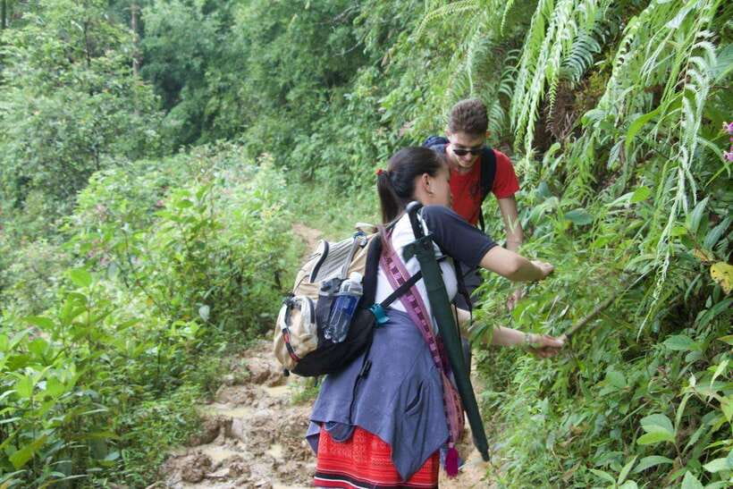 1 Day Sapa Trek&Home-cooked Lunch HmongSisterHouse&Trekking - Rice Paddies, Main Villages, and the Viewpoints Your Feet Earn