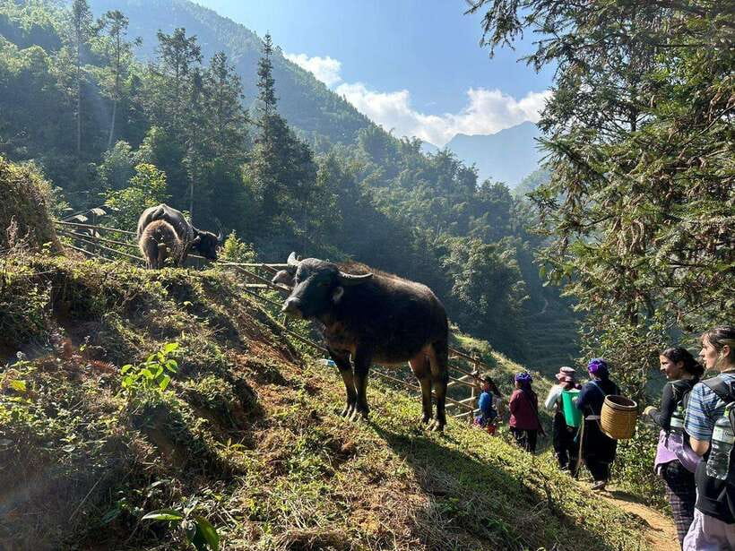 1 Day Sapa Trek&Home-cooked Lunch HmongSisterHouse&Trekking - What to Bring for This Sapa Hike (So You Don’t Regret It)