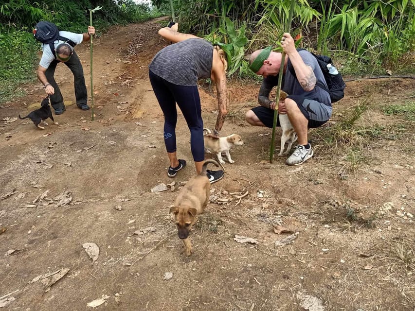 1 Day trekking : Chiang Rai popular activity,Fun in Nature. - Should You Book This 1-Day Chiang Rai Trek?