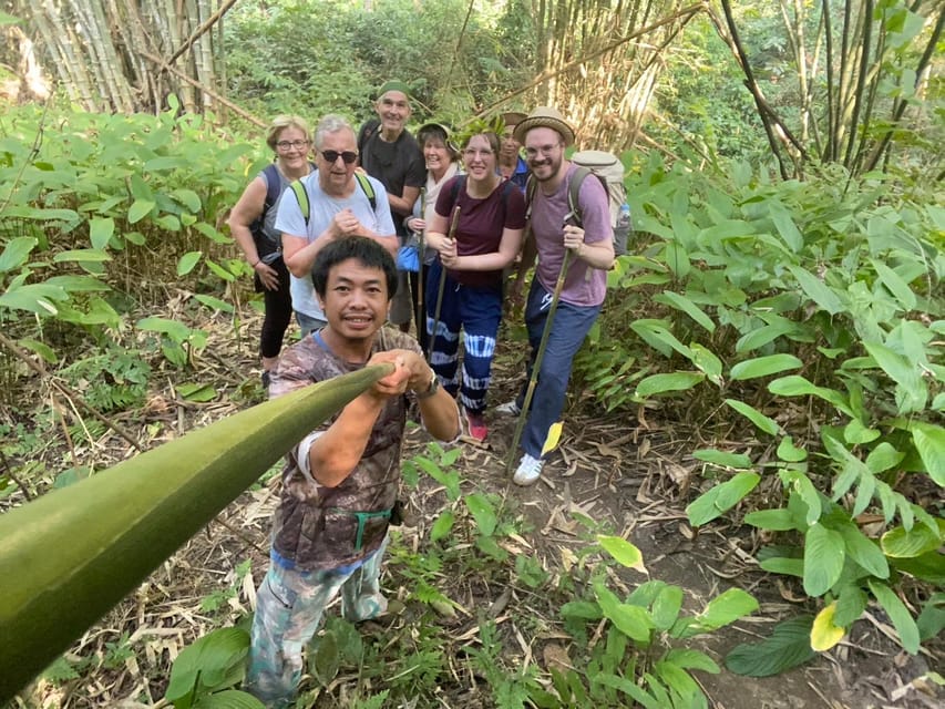 1 Day trekking : Chiang Rai popular activity,Fun in Nature. - Huay Kaew Waterfall and Swimming: Cool Break, Real Nature