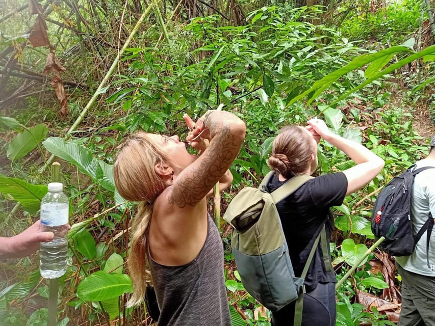1 Day trekking : Chiang Rai popular activity,Fun in Nature. - Hot Spring Bath Finish: A Recovery Moment That Actually Helps
