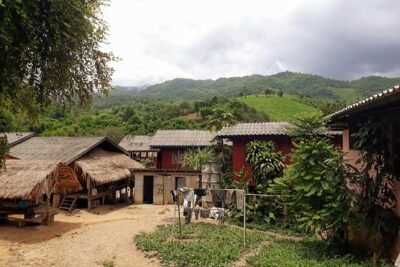 1 Day Trekking Group Tour With Bamboo Cooking / Chiang Rai - A real jungle workout: the 15 km hike and terrain tips