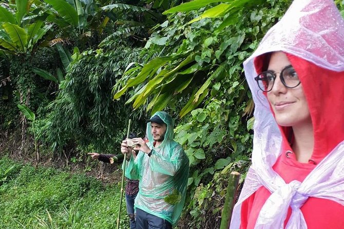 1 Day Trekking Group Tour With Bamboo Cooking / Chiang Rai - Price and logistics: how to judge if this is a good deal for you