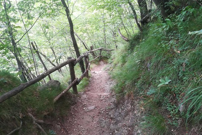 1 Day Trekking - Il Sentiero del Viandante: BELLANO. VARENNA - Who this trek suits best (and who might not)