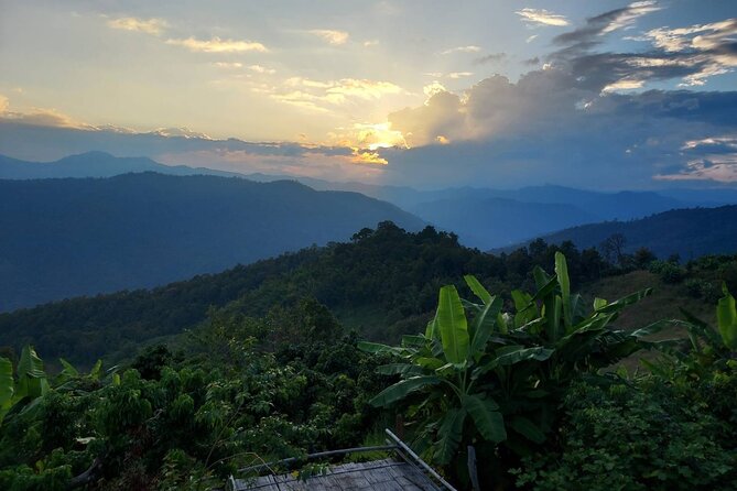 1 Day Trekking in Chiang Mai - Quick Hits: What Makes This 1-Day Trek Worth Your Time