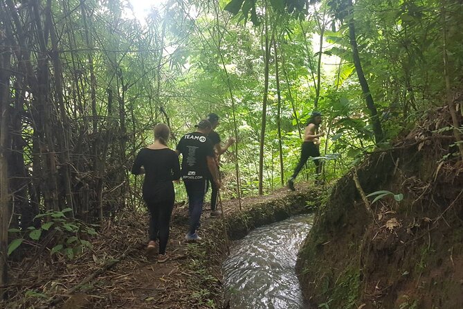 1 Day Trekking in Chiang Mai - Why This Chiang Mai Trek Feels Like Real Mountain Life