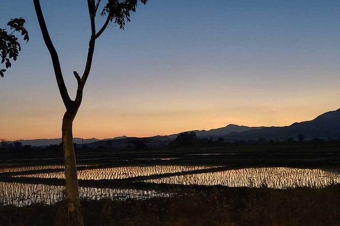 1 Day Trekking in Chiang Mai - Private Tour Value: What $94.01 Buys You in Real Life