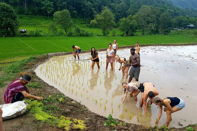 1 Day Trekking in Chiang Mai - What to Expect From the Day’s Flow (Without the Guesswork)