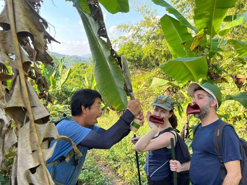 1 Day Trekking in Chiang Rai forest (walk only) - Starting at Chiang Rai Hot Springs and Heading Into Bamboo