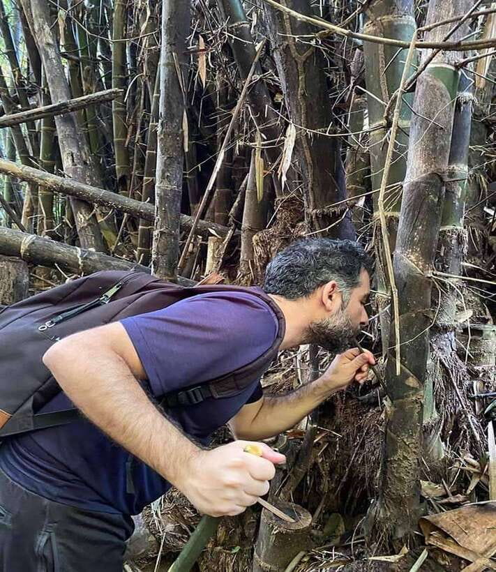 1 Day Trekking in Chiang Rai forest (walk only) - Bamboo Lunch: Making Food With Handmade Containers