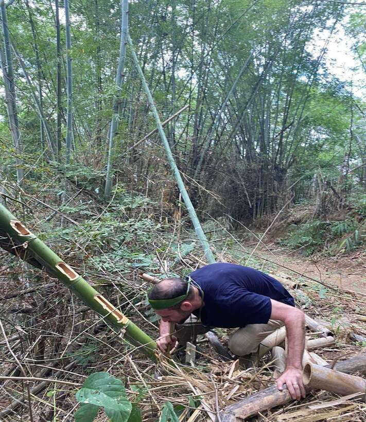 1 Day Trekking in Chiang Rai forest (walk only) - Pace, Fitness, and Your Best Gear Setup