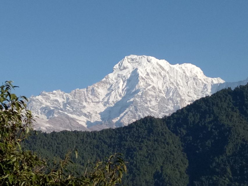 1 N 2 Days easy Dhampus,Australian camp trek from Pokhara - Guesthouse night: comfort, warmth, and local rhythm