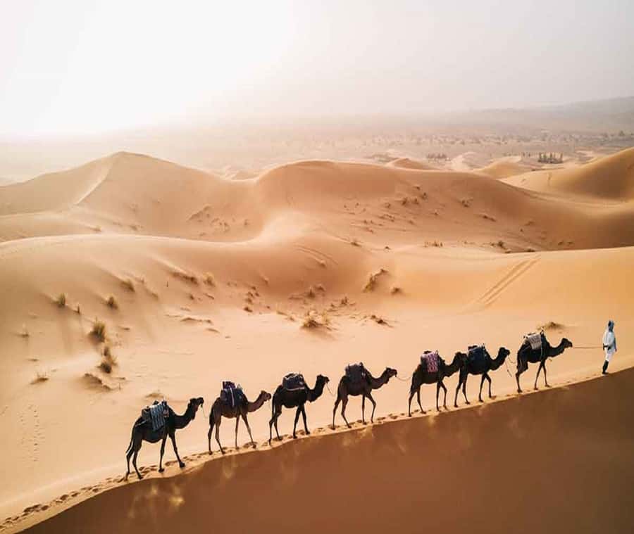 1 night Camel Trek in Merzouga Desert - Merzouga’s 1-night camel trek: the value of doing it now