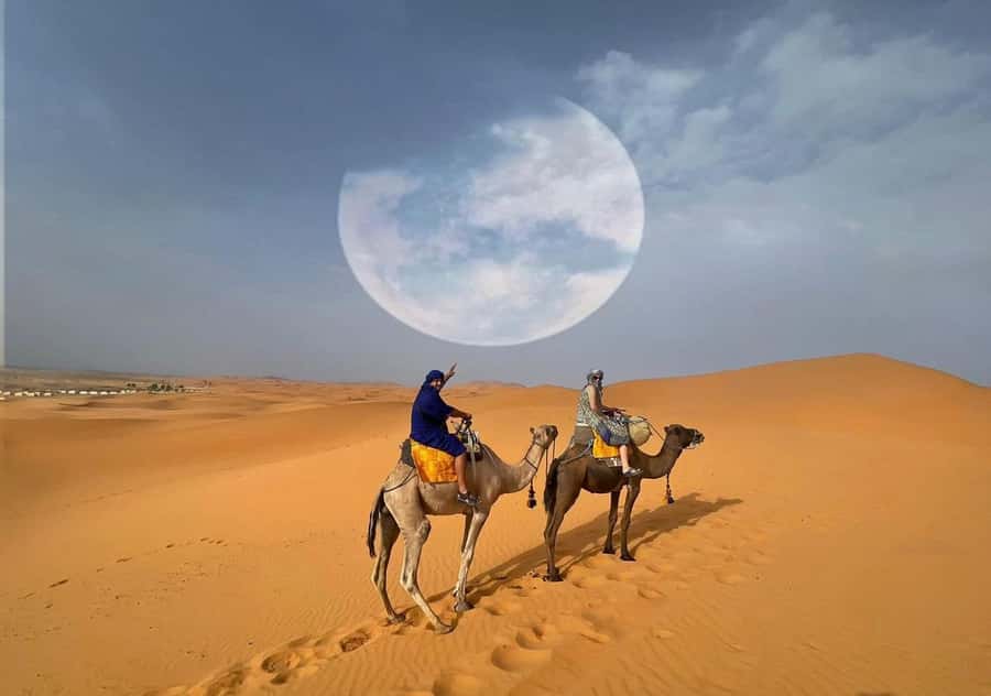1 night Camel Trek in Merzouga Desert - Who should book this, and who should skip it