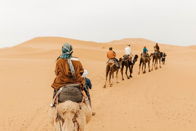 1 night Camel trek in Merzouga Desert Luxury Camp NO EXTRA - Overnight Camel Trek in Merzouga: what this really feels like
