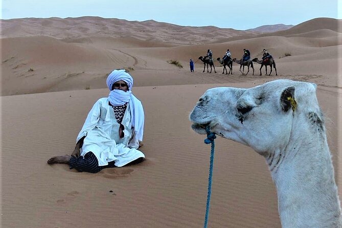 1 night Camel trek in Merzouga Desert Luxury Camp NO EXTRA - Breakfast, sandboarding time, and how the itinerary stays smooth