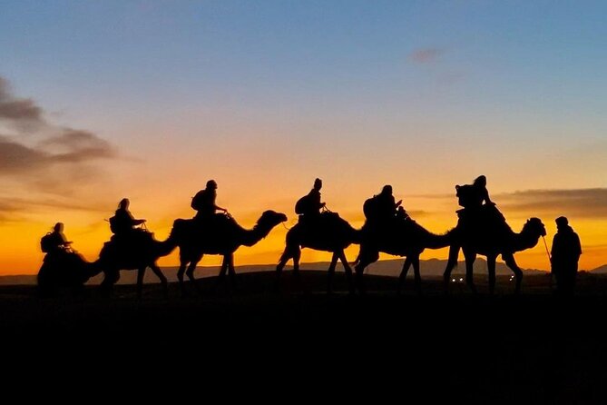 1 Night Camel Trekking in Merzouga - Price and what you actually get for about $58