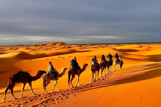 1 Night Camel Trekking in Merzouga - Who this one-night trek suits best