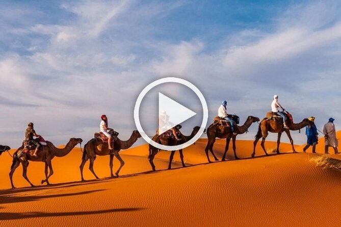 1 Night Camel Trekking in Merzouga - Camel trek into Erg Chebbi: sunset stops you will actually remember