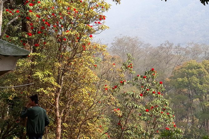10 days Annapurna Base Camp Trek - Old Gurung Museum stop and the Pokhara flight into trekking mode