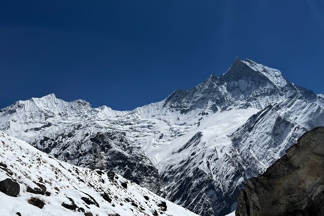 10 days Annapurna Base Camp Trek - Sinuwa, Kuldigarth, and Dovan on Day 4: forests, river crossings, and the gateway feeling