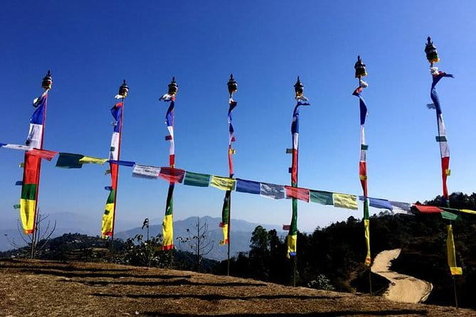 10 Days Annapurna Base Camp Trek from Kathmandu - Day 5: Bamboo to Deurali through bamboo and rhododendron forests